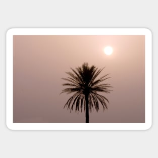 Misty Sunrise with Palm Tree Sticker